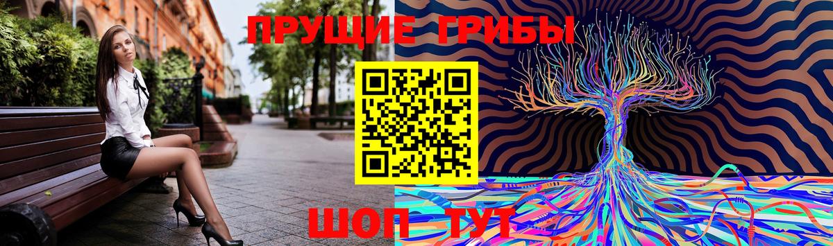 магазин продажи наркотиков  Галлюциногенные грибы Psilocybe  Псилоцибиновые грибы Cubensis  Вход с VPN  Северобайкальск 